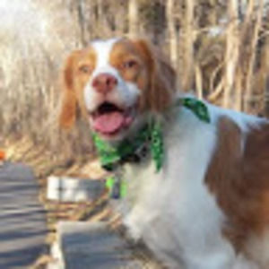 Meet your Posher, Dawn